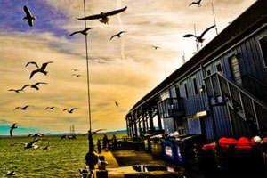 卡密商城特价的DDOS攻击